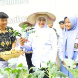 School Food Care, Langkah Sekolah Jatim Tanam Semangat Kemandirian Pangan