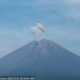 Gunung Semeru Erupsi Delapan Kali dalam Enam Jam, Kolom Abu Capai 800 Meter