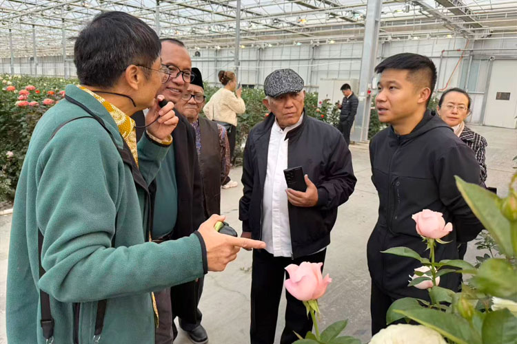 Delegasi PWNU Jatim Tinjau Industri Perkebunan dan Susu Modern di Tiongkok