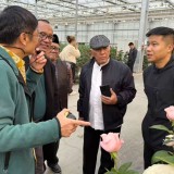 Delegasi PWNU Jatim Tinjau Industri Perkebunan Mawar dan Susu di Tiongkok