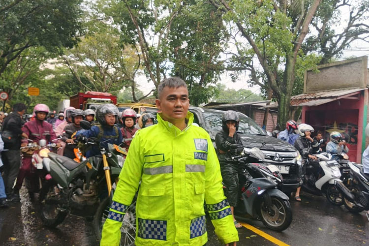 Pohon Tumbang di Sukaluyu Sempat Lumpuhkan Jalur Cianjur-Bandung, Pengendara Diimbau Waspada