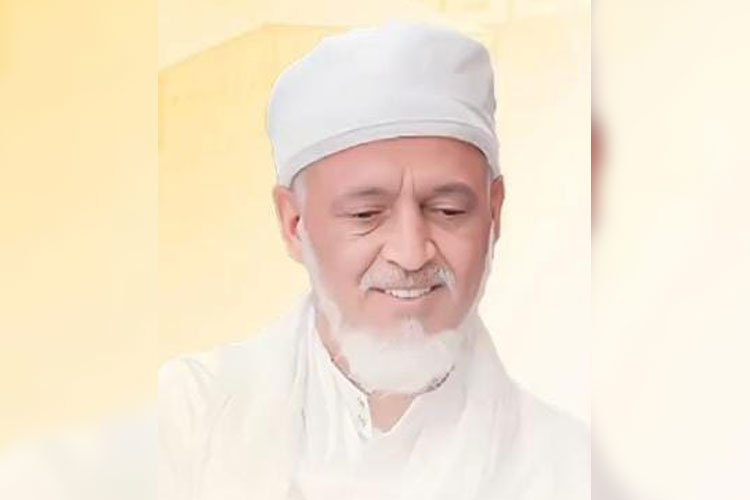 Syaikh Muhammad Amin Asy-Syinqithi.