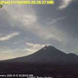 Gunung Semeru Erupsi Lagi, Kolom Abu Capai 700 Meter di Atas Puncak