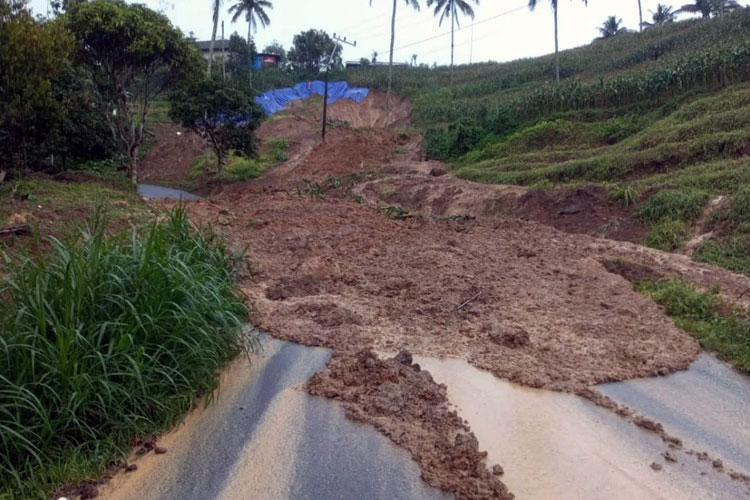 Akses Jalan Tulungagung–Trenggalek via Pagerwojo Tertutup Longsor