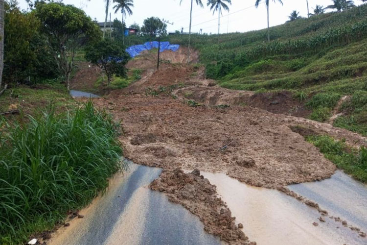 Akses Tulungagung–Trenggalek via Pagerwojo Tertutup Akibat Longsor