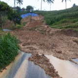 Akses Tulungagung–Trenggalek via Pagerwojo Tertutup Akibat Longsor