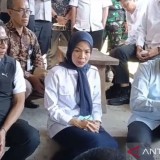 Pemkab Serang Musnahkan Ternak Terkontaminasi Cesium, Warga Dapat Kompensasi