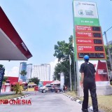 Update Harga BBM, Pertamina Dex Naik Jadi Rp14.200/Liter, Pertalite Tetap Rp10.000