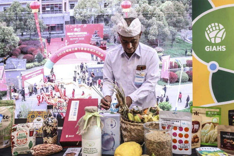 Indonesia Raih Sertifikat GIAHS Pertama dari FAO untuk Agroforestri Salak Bali