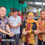 Ekspor Kopi Bondowoso ke Pasar Internasional Bukti BRK Reborn