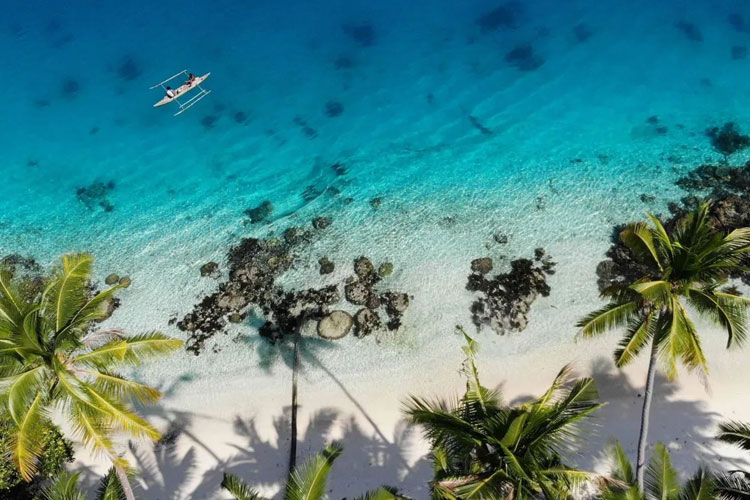 Indonesia Jadi Model Global Pengembangan Teknologi Konservasi Laut lewat Global Ocean Innovation Challenge