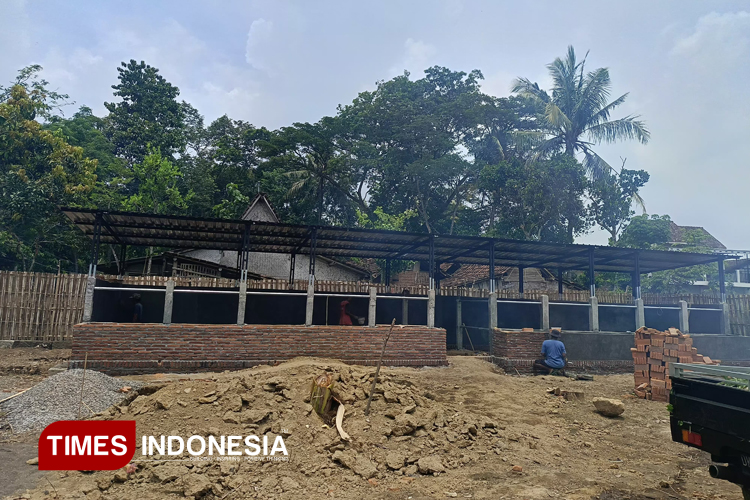 Poknak Terlanjur Buat Kandang Tapi Bantuan Tak Terealisasi, Ini Kata Disnakkan Bondowoso