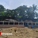 Poknak Terlanjur Buat Kandang Tapi Bantuan Tak Terealisasi, Ini Kata Disnakkan Bondowoso