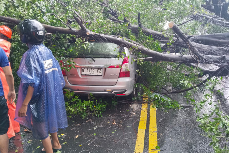 Salah satu mobil warga yang tertimpa pohon tumbang di Kota Malang akibat hujan lebat. (Foto: Dok. BPBD Kota Malang)