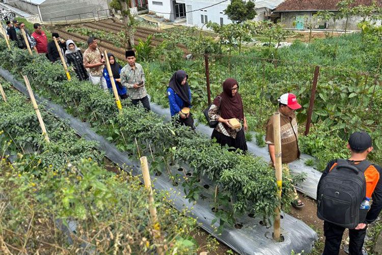 Salah satu kegiatan dalam pelatihan digitalisasi petani dan koperasi oleh Kemenko PM di Koperasi Pondok Pesantren (Kopontren) Al-Ittifaq, Kabupaten Bandung, Selasa (4/11/2025). (Foto: Kemenko PM)