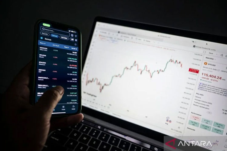 Meski Terus Anjlok, Bitcoin Masih Jadi Primadona Investor