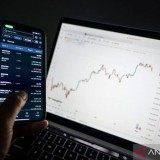 Meski Terus Anjlok, Bitcoin Masih Jadi Primadona Investor