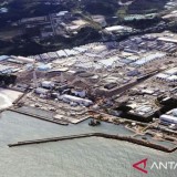 Pasca-Fukushima, Jepang Kaji Ulang Pembangunan Reaktor Nuklir di Prefektur Fukui