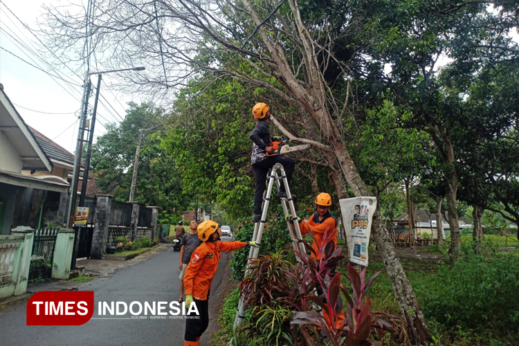 Waspada Cuaca Ekstrem! Angin Kencang Terjang Tiga Titik di Bondowoso