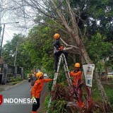 Waspada Cuaca Ekstrem! Angin Kencang Terjang Tiga Titik di Bondowoso