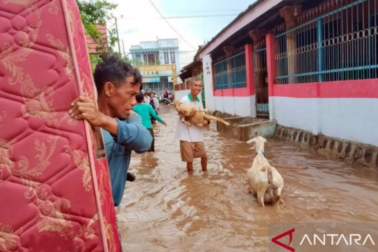 Sejumlah warga menyelamatkan barang, ternak, serta mengevakuasi kelompok rentan anak dan lansia melintasi genangan air saat banjir melanda di Bima. (Foto: ANTARA/HO-HBPBD Kabupaten Bima )