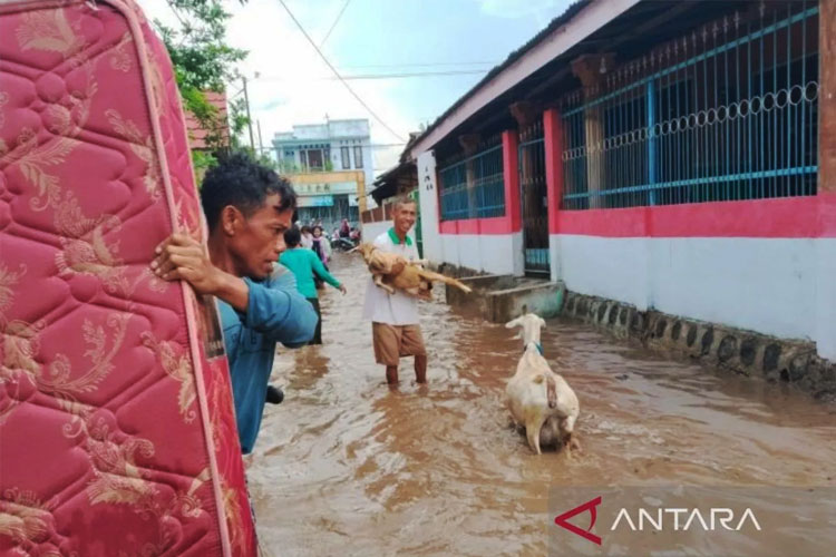 Ribuan Warga Bima NTB Terendam Banjir, 1.118 Rumah Terendam di Desa Monggo