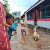 Darurat Banjir di Bima, 3.584 Jiwa Terdampak, Sekolah dan Puskesmas Juga Terendam
