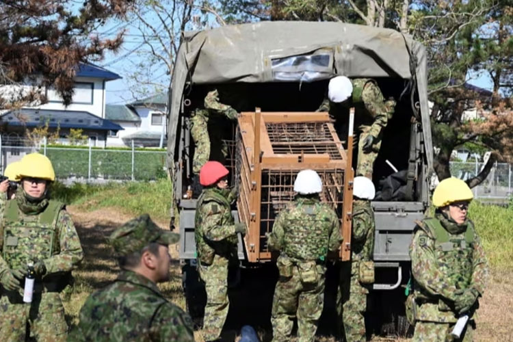 Tentara dengan perlengkapan tempur menurunkan kandang beruang dari truk militer. (FOTO: The Guardian)