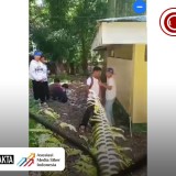 CEK FAKTA: Viral Video Penganiayaan Diduga Dilakukan Pelajar di Indonesia, Ternyata Terjadi di Filipina