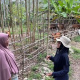 Kolaborasi Lintas Sektor: Membangun Masa Depan Kawasan Transmigrasi di Paser Kaltim