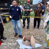 Penemuan Jasad Bayi Perempuan di Sungai Kertosono Probolinggo Gemparkan Warga