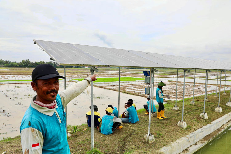 Petani Cilacap Nikmati Irigasi Gratis Berkat Pompa Surya Bantuan Pemprov Jateng