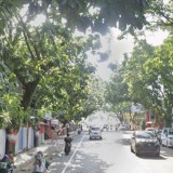 Langkah Preventif Pemdes Bojong Cianjur Antisipasi Pohon Tumbang Akibat Cuaca Ekstrem