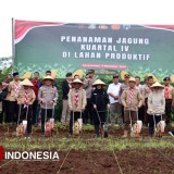 Penguatan Ketahanan Pangan, Kapolresta Banyuwangi Tanam Jagung di Lahan 50 Hektare