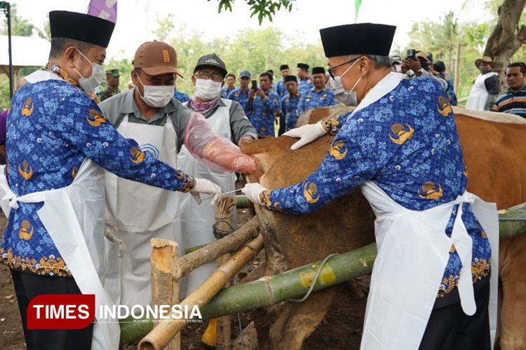 Bondowoso Penghasil Ternak Terbesar di Jatim, Perlu Gunakan Teknologi Peternakan Modern