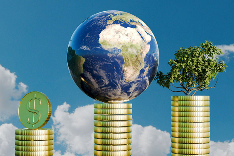 Rupin Banker: The Effects of Financial Globalization on Developing Countries