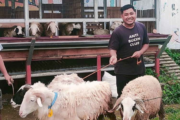 Mulai tahun 2026 mendatang, Dam Haji dapat dilaksanakan di Indonesia. (FOTO: IS FARM Yogyakarta)