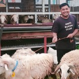 Pelaksanaan Dam Haji Kini Bisa di Indonesia, Ini Caranya