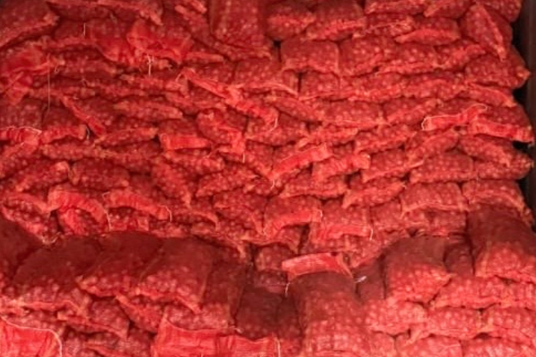 Sejumlah bawang impor hasil pengungkapan kasus di Kota Malang. (Foto: Ist)