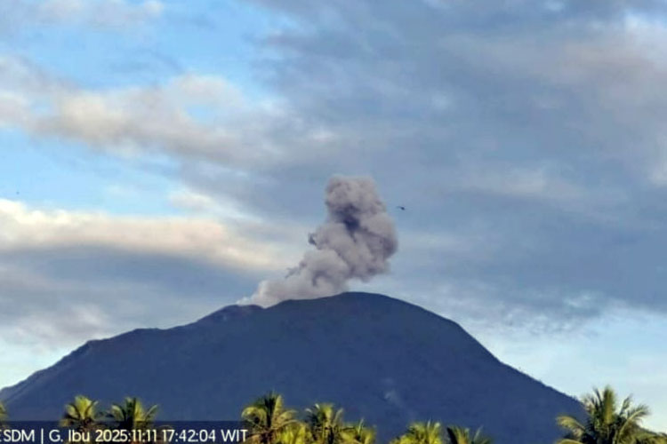 Gunung Ibu Erupsi, Abu Capai 500 Meter ke Langit