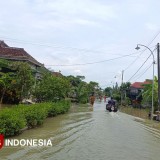 Hujan Deras, Kali Lamong Meluap Hingga Meluap ke Permukiman