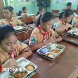 BGN Ungkap 48 Persen Kasus Keracunan Terkait Program Pemerintah