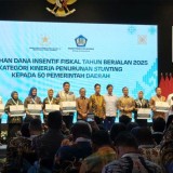 Daerah Berprestasi Terima Insentif Fiskal Penurunan Stunting dari Wapres Gibran