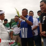 ESDM Pelajari “Bobibos”, BBM yang Diklaim Ramah Lingkungan dan Setara RON 98