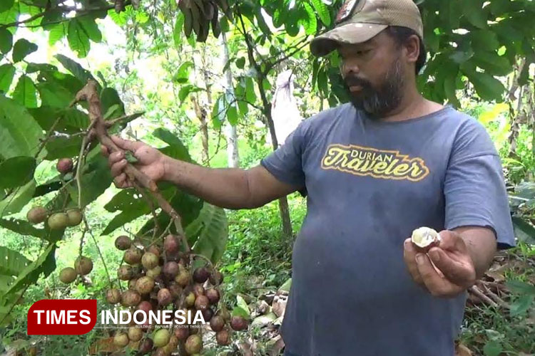 Heri-Susanto-Petani-Buah-asal-Wonosalam-b.jpg