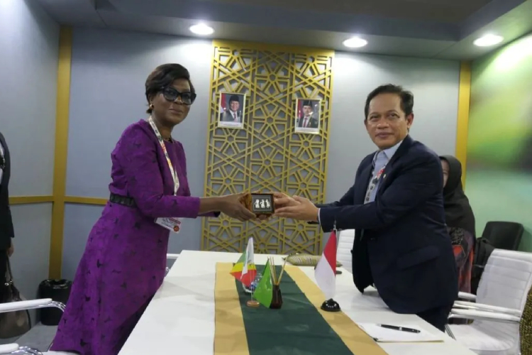 Indonesia Gandeng Kongo dan Peru Bangun Forum Restorasi Lahan Gambut Tropis