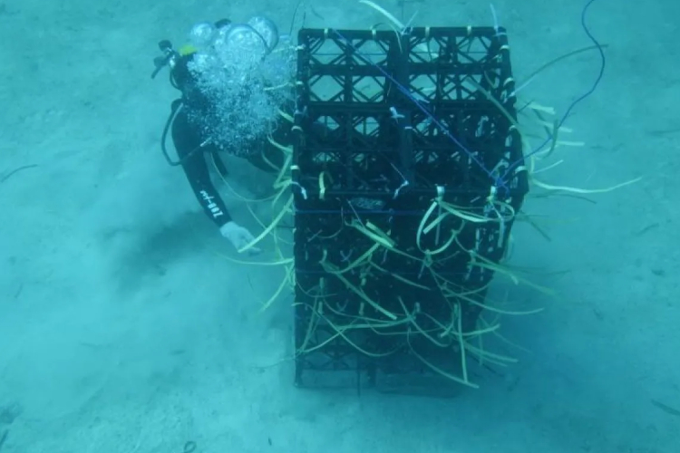 Tingkatkan Hasil Tangkapan Nelayan, Gubernur Sulsel Luncurkan 