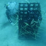 Gubernur Andi Sudirman: Apartemen Ikan 11 Hektare untuk Dekatkan Spot Tangkapan ke Nelayan