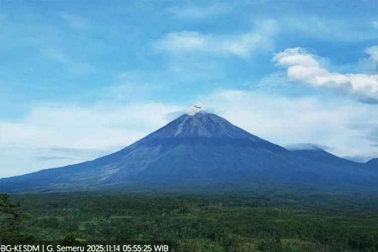 Gunung Semeru Erupsi 2 Kali pada Jumat Pagi, Tinggi Kolom Abu Capai 800 Meter