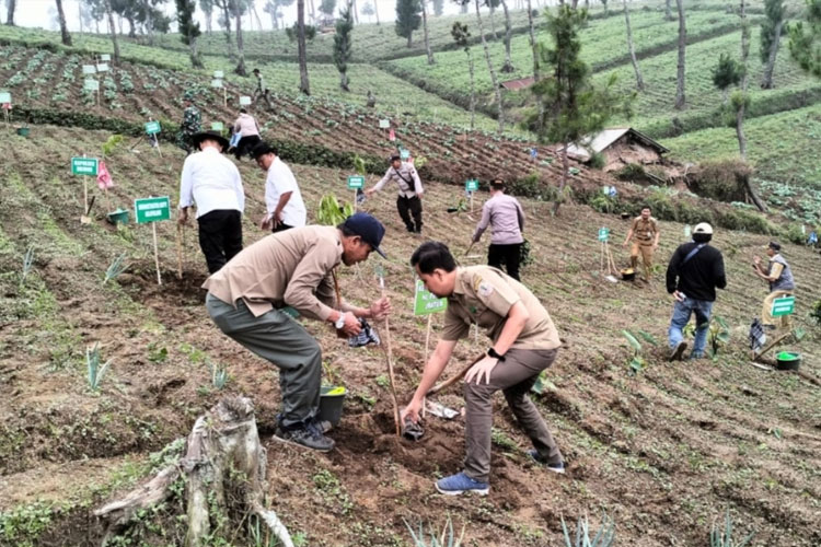 Perhutani KPH Pekalongan Barat Menjaga Kelestarian Nafas Hutan di Tengah Isu Lingkungan